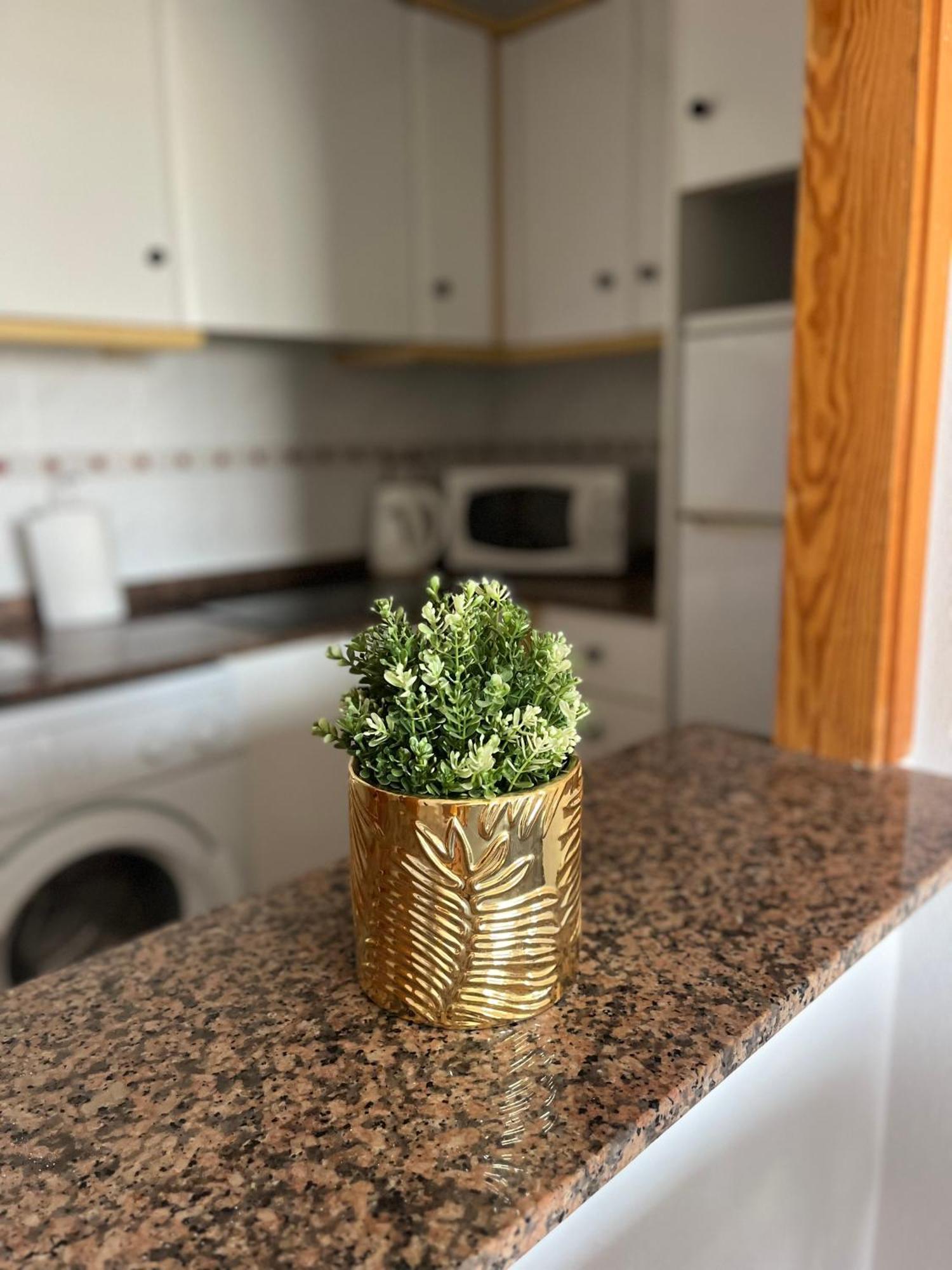 Sea Viev La Mata Apartment Torrevieja Ngoại thất bức ảnh
