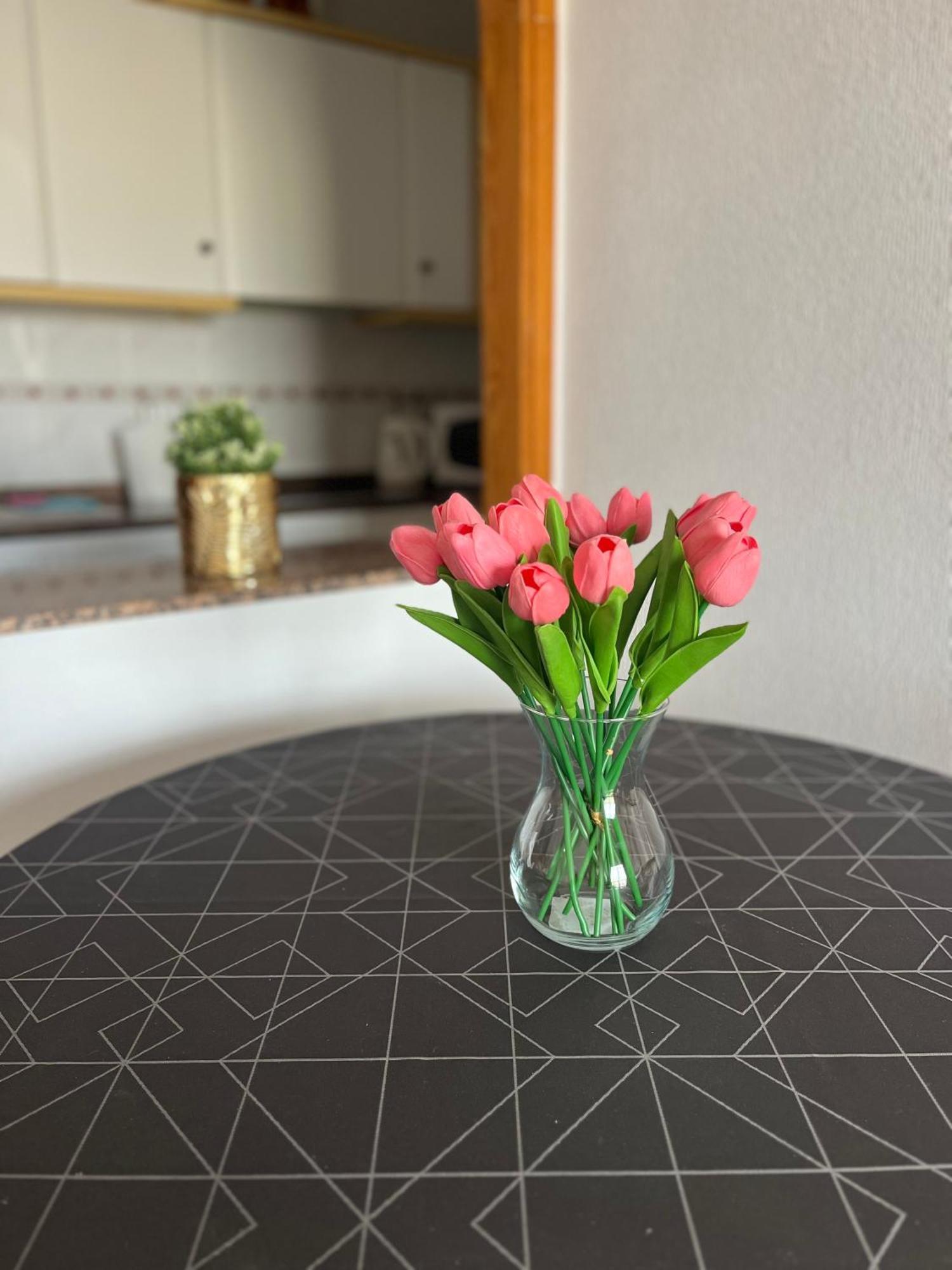 Sea Viev La Mata Apartment Torrevieja Ngoại thất bức ảnh